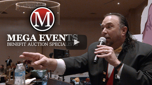 Mega-events-auctions-thumb